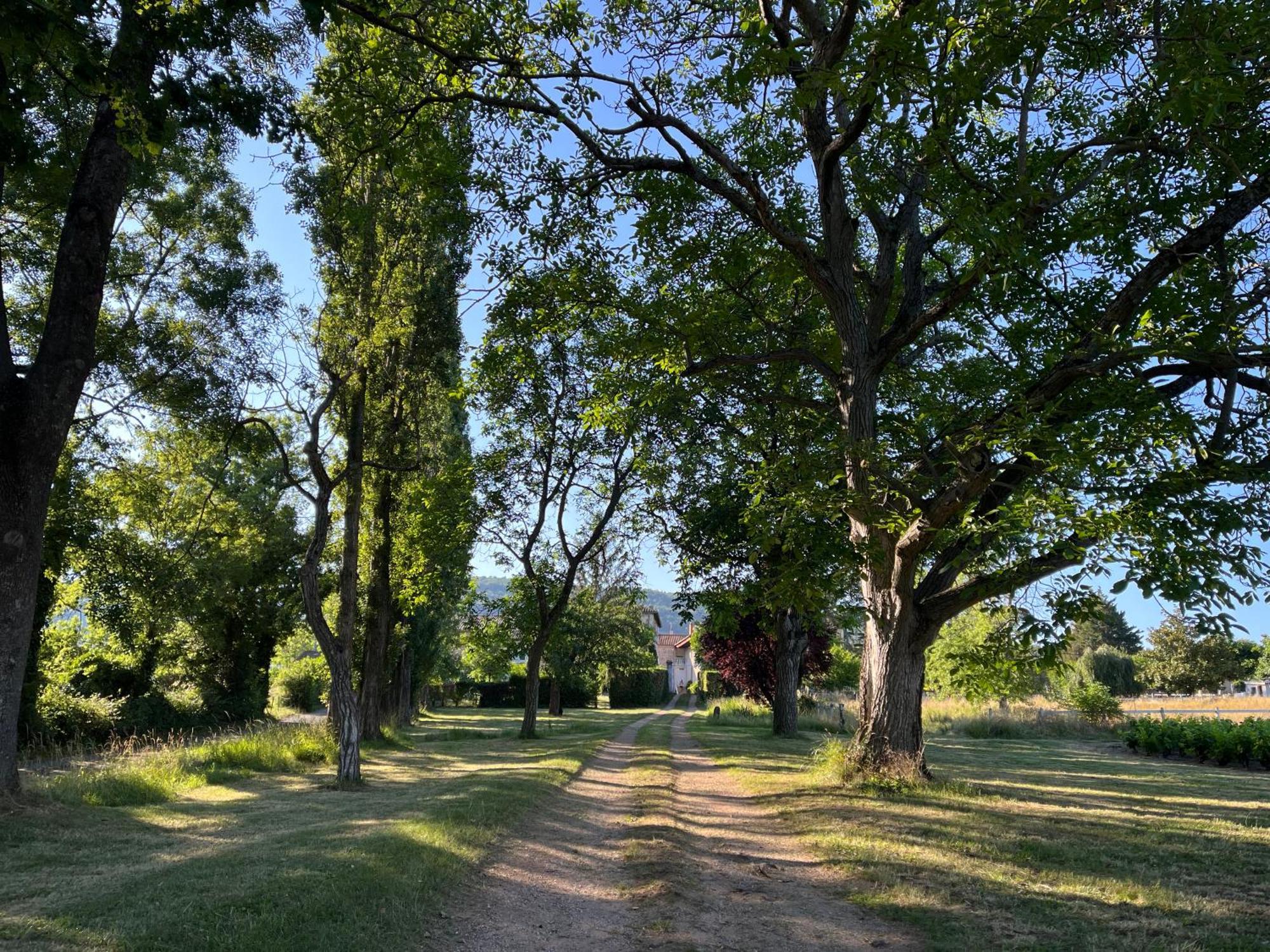 Domaine De La Baisse Villa Saint-Etienne-la-Varenne Eksteriør bilde