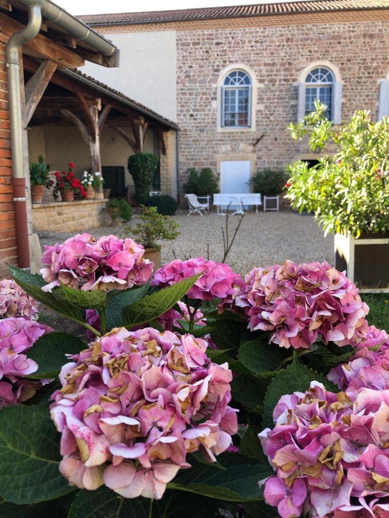 Domaine De La Baisse Villa Saint-Etienne-la-Varenne Eksteriør bilde
